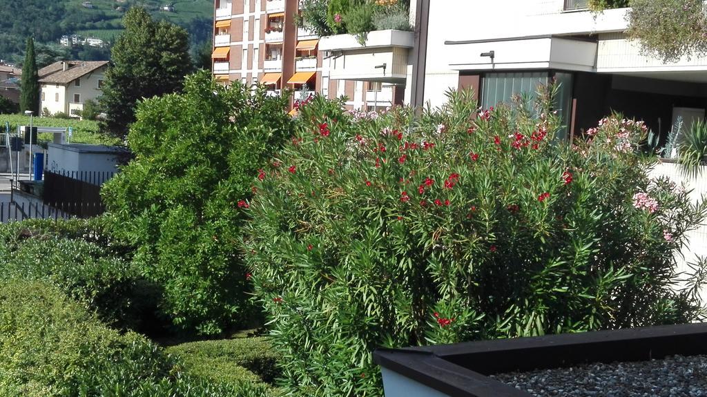 Camere Bolzano Da Glauco المظهر الخارجي الصورة